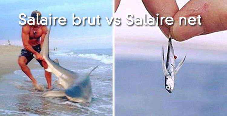 Salaire brut en net : comprendre les différences